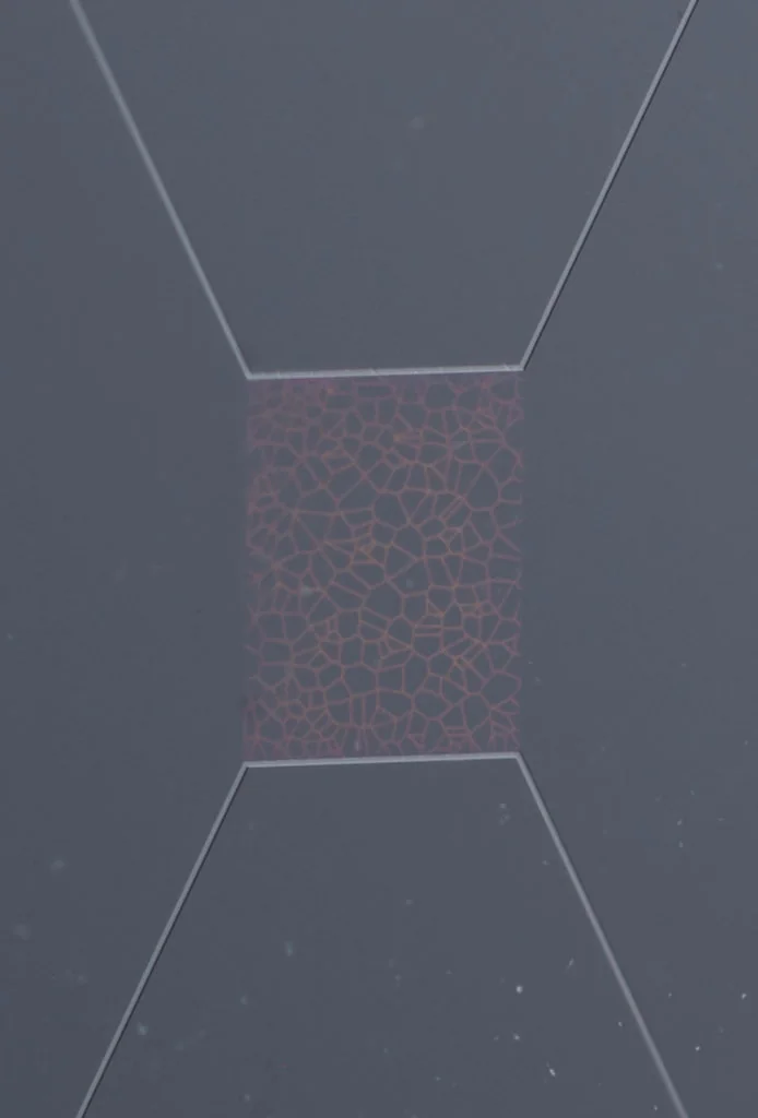 nano scale porous media chip