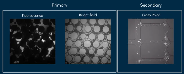 Different types of microscopy Interface uses
