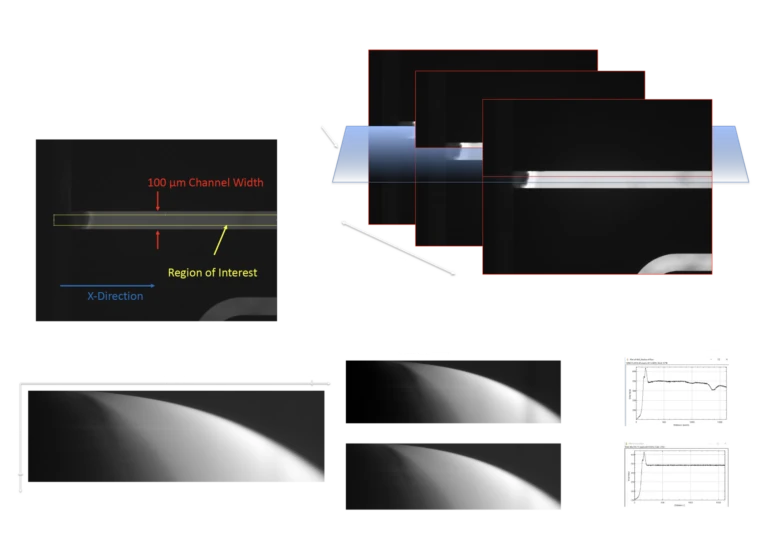 steps in image processing