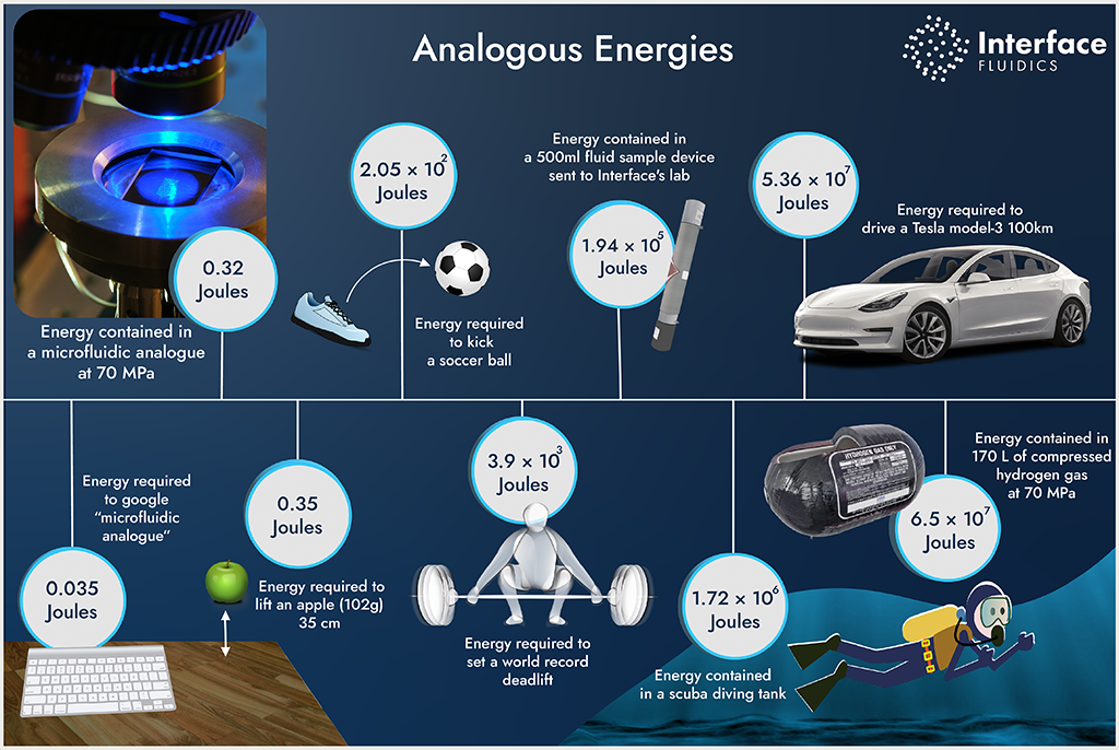 graphic showing different energy requirements